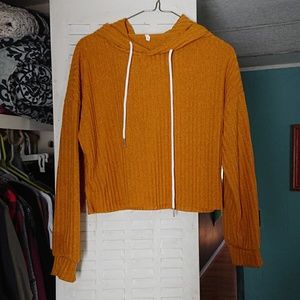 Long Sleeved Cropped Hoodie